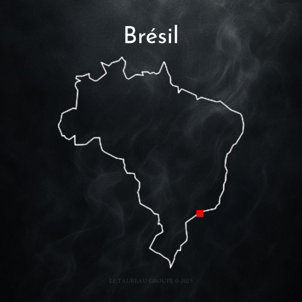 100 % Arabica - Brésil ( 1 KG )
